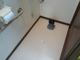 2012-08-31 11.06.23_R.jpg